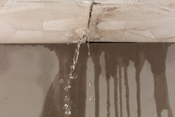 Professional Water Damage Repair technician working in Swampscott, MA
